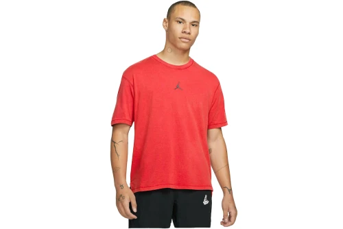 Jordan T-Shirt Ανδρικό (DH8920 687)