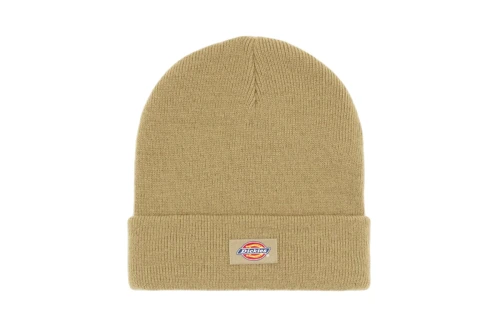 Dickies Gibsland Σκουφάκι Χειμερινό (DK0A4X7K0IP1)
