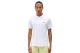 Dickies Mapleton Ανδρικό Κοντομάνικο T-Shirt Λευκό
