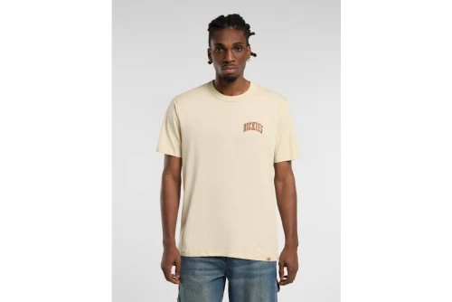Dickies Aitkin Chest Logo T-Shirt Ανδρικό (DK0A4Y8OL171)