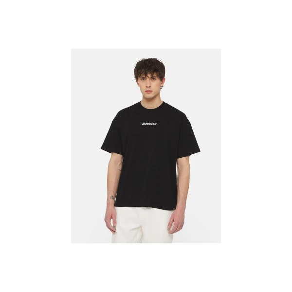 Dickies Enterprise T-Shirt Ανδρικό (DK0A4YRNBLK1)