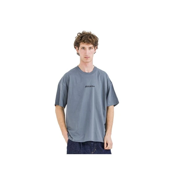 Dickies Enterprise T-Shirt Ανδρικό (DK0A4YRNG701)