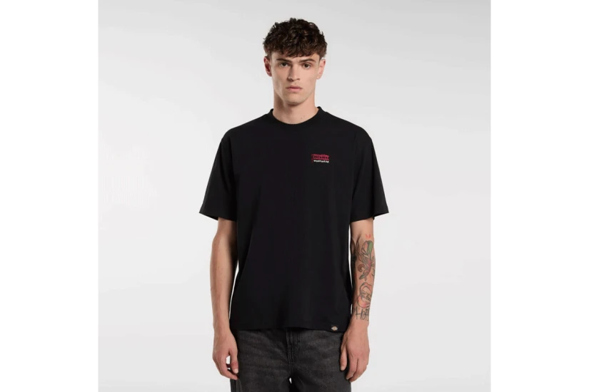 Dickies Flag Ανδρικό Κοντομάνικο T-Shirt Μαύρο