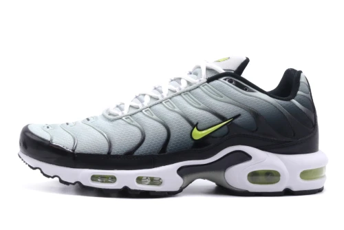 Nike Air Max Plus Sneakers (DM0032 006)