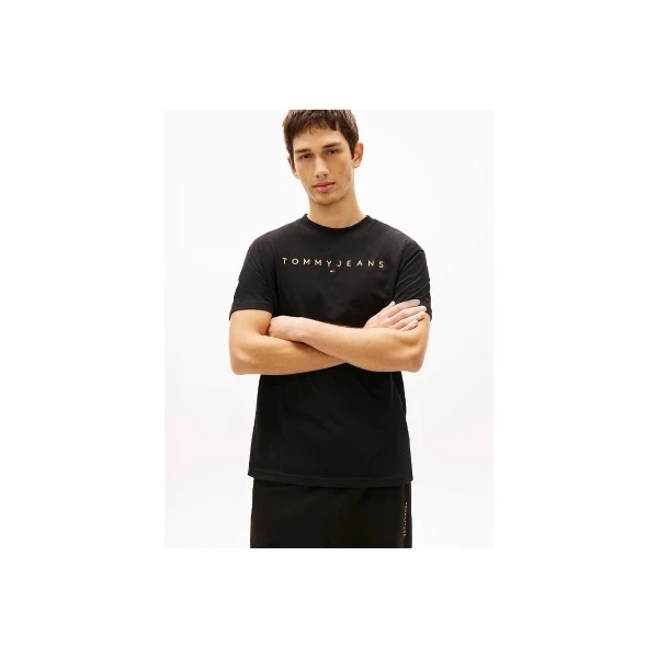Tommy Jeans Linear Logo Embroidery Jersey T-Shirt Ανδρικό (DM0DM20744 SEV)