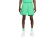 Nike Sportswear Essentials Μαγιό Σορτς Ανδρικό (DM6829 363)