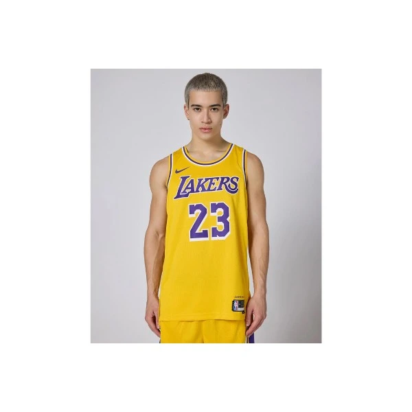 Nike Nba Lebron James Los Angeles Lakers Φανέλα Ομάδας (DN2009 733)