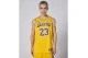 Nike Dri-FIT NBA Lebron James Los Angeles Lakers Icon Edition Ανδρική Μπασκετική Φανέλα Κίτρινη, Μωβ