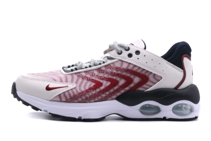 Nike Air Max Unisex Sneakers (DQ0296 005)