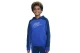 Nike Hoodie (DR9176 480)