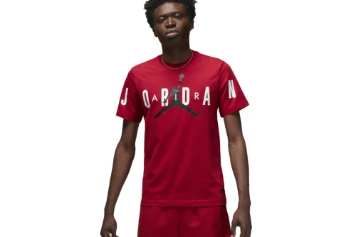 Jordan T-Shirt Ανδρικό (DV1445 687)