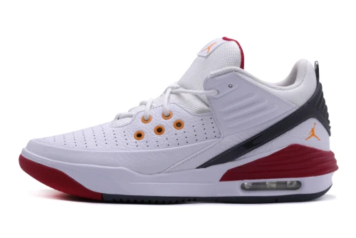 Jordan Max Aura 5 Sneakers (DZ4353 160)