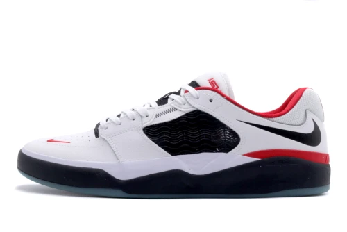 Nike Sb Ishod Prm L Sneakers (DZ5648 100)