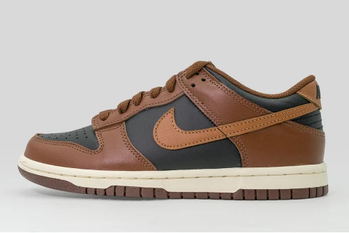 Nike Dunk Low Sneakers (FB9109 006)