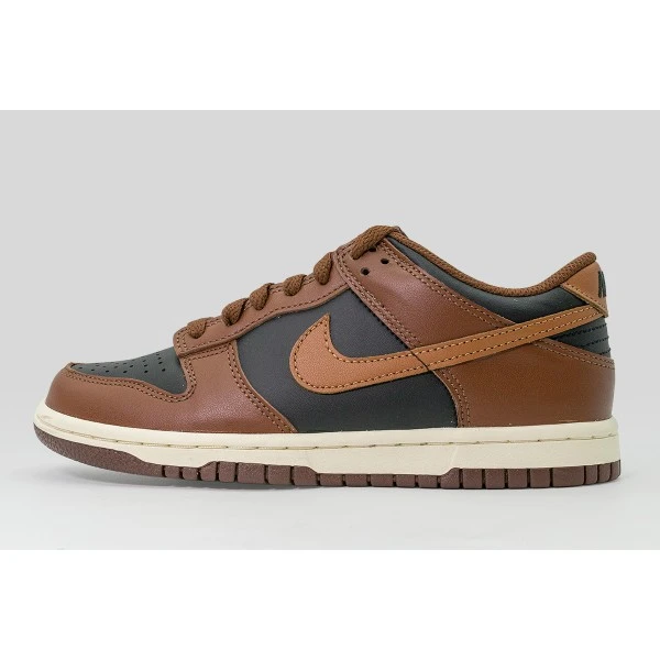 Nike Dunk Low Sneakers (FB9109 006)