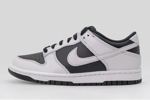 Nike Dunk Low Sneakers (FB9109 010)
