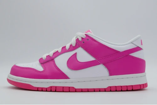 Nike Dunk Low Sneakers (FB9109 102)