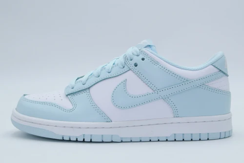 Nike Dunk Low Sneakers (FB9109 105)