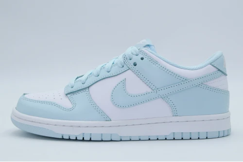 Nike Dunk Low Sneakers (FB9109 105)