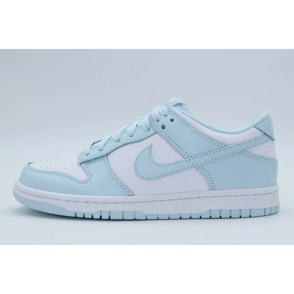 Nike Dunk Low Sneakers (FB9109 105)