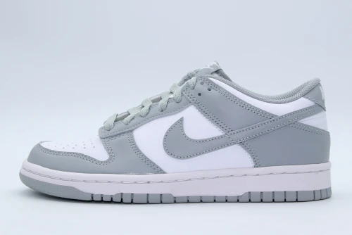 Nike Dunk Low Sneakers (FB9109 123)
