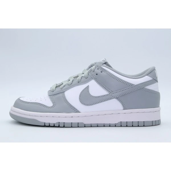 Nike Dunk Low Sneakers (FB9109 123)