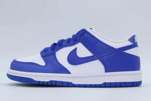 Nike Dunk Low Sneakers (FB9109 131)