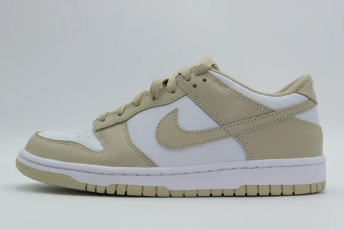 Nike Dunk Low Gs Sneakers (FB9109 200)
