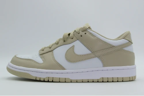 Nike Dunk Low Gs Sneakers (FB9109 200)