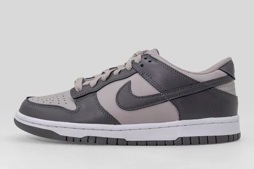 Nike Dunk Low Sneakers (FB9109 203)