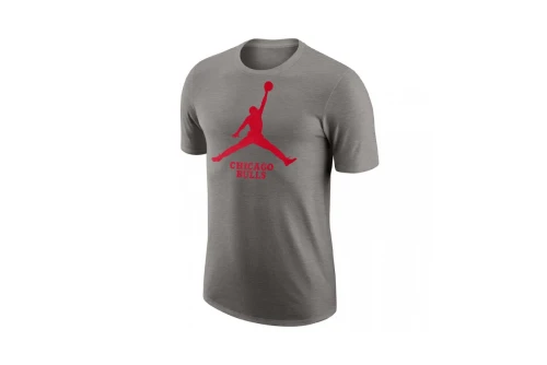 Jordan Nba Chicago Bulls Essential T-Shirt Ανδρικό (FD1460 063)