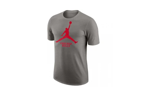 Jordan Nba Chicago Bulls Essential T-Shirt Ανδρικό (FD1460 063)