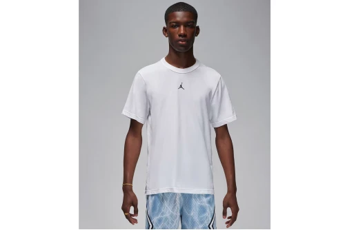 Jordan Sport Dri-Fit T-Shirt Ανδρικό (FN5829 100)