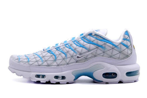 Nike Air Max Plus Sneakers (FQ2397 100)