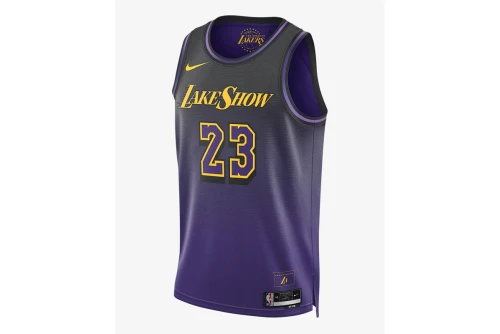 Nike Nba Lebron James Los Angeles Lakers 24-25 Φανέλα Ομάδας (FQ4346 504)