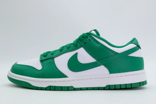 Nike Dunk Low Retro Sneakers (HF5441 101)