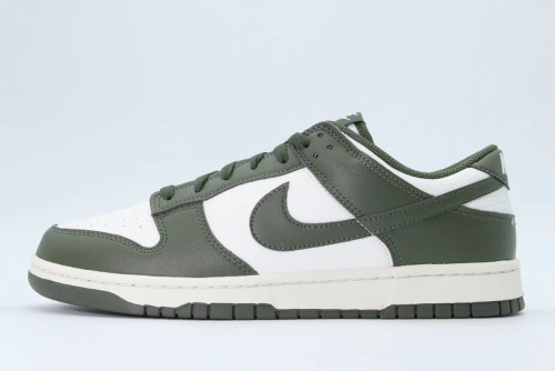 Nike Dunk Low Retro Sneakers (HF5441 102)