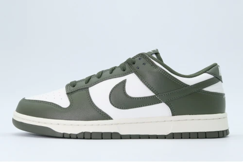 Nike Dunk Low Retro Sneakers (HF5441 102)