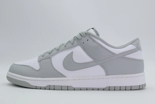Nike Dunk Low Retro Sneakers (HF5441 105)