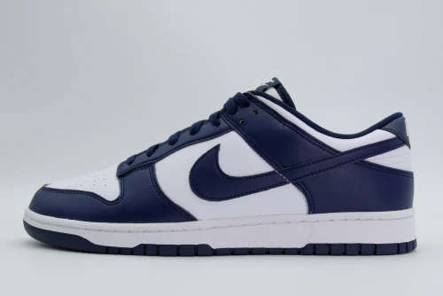 Nike Dunk Low Retro Sneakers (HF5441 107)
