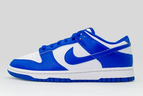 Nike Dunk Low Retro Sneakers (HF5441 112)