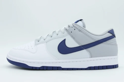 Nike Dunk Low Retro Sneakers (HF5441 118)