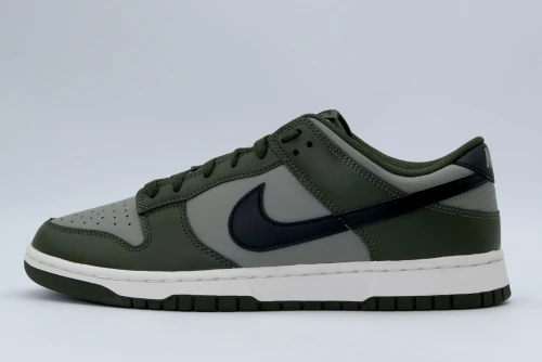 Nike Dunk Low Retro Sneakers (HF5441 300)