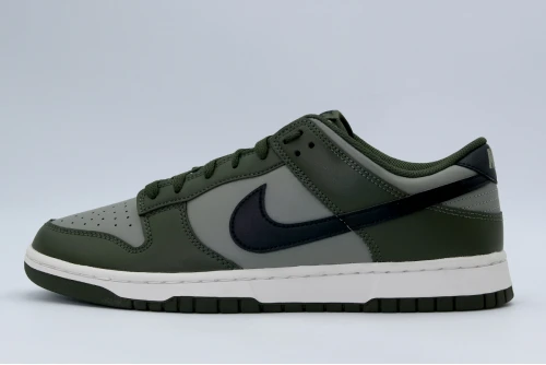 Nike Dunk Low Retro Sneakers (HF5441 300)