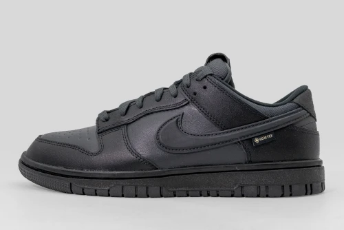 Nike Dunk Low Gore-Tex Sneakers (HQ2053 001)