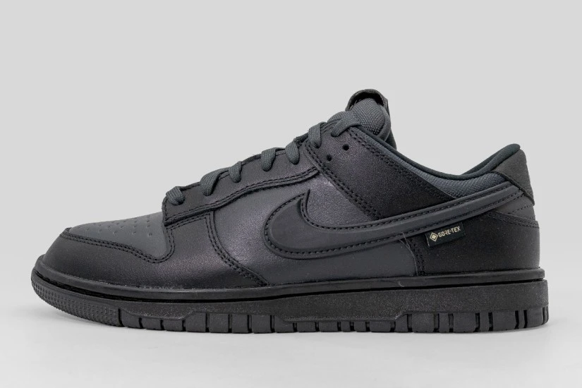 Nike Dunk Low Gore-Tex Ανδρικά Sneakers Μαύρα