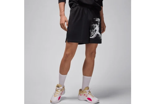 Jordan Sport Dri-Fit Graphic Βερμούδα Μπασκετική Ανδρική (HQ8665 010)