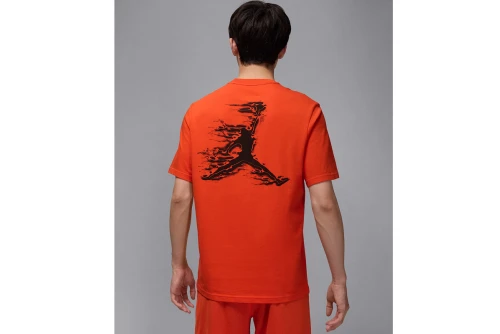 Jordan Sport Dri-Fit T-Shirt Ανδρικό (HQ8970 891)