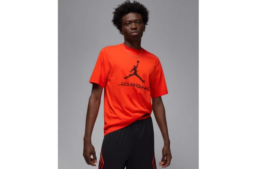 Jordan Sport Dri-Fit T-Shirt Ανδρικό (HQ9091 891)