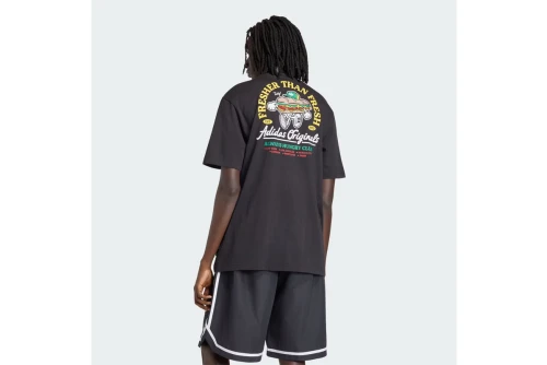 Adidas Originals Loose Graphic Fresher 18 T-Shirt Ανδρικό (IA4467)